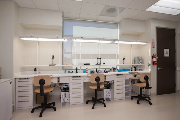Acrylic Labs in the World