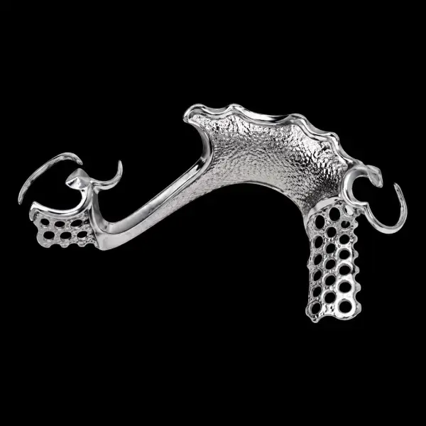 Cast Vitallium Framework