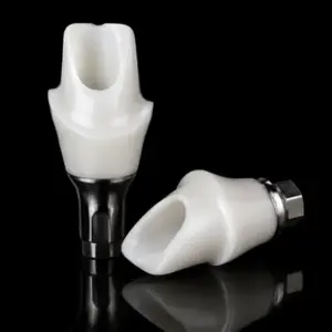 Hybrid Zirconia Abutment
